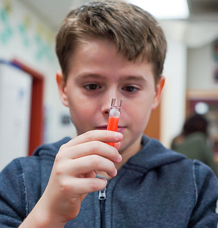 Waubonsie Valley Science Open House