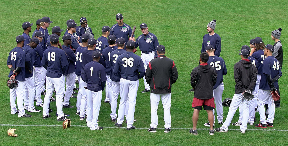 Cougars Baseball