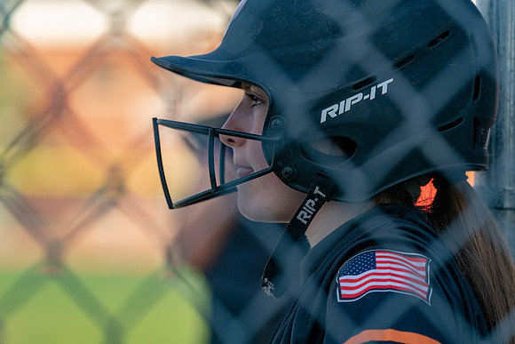 Wheaton Warrenville South Softball
