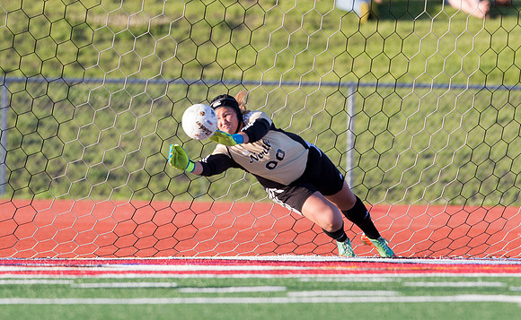 Lions' Vs Lincoln-way North Girls Class 3A Lewis Super-Sectional