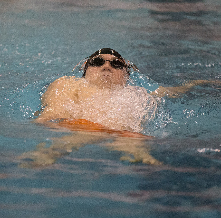 BOYS IHSA STATE SWIMMING FINALS