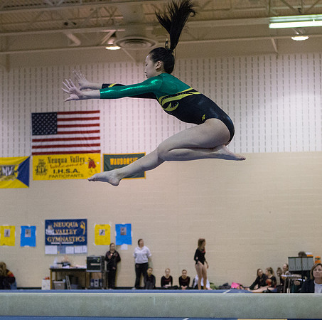 Waubonsie-Metea Co-op Gymnastics Meet