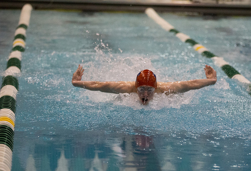 BOYS IHSA STATE SWIMMING FINALS